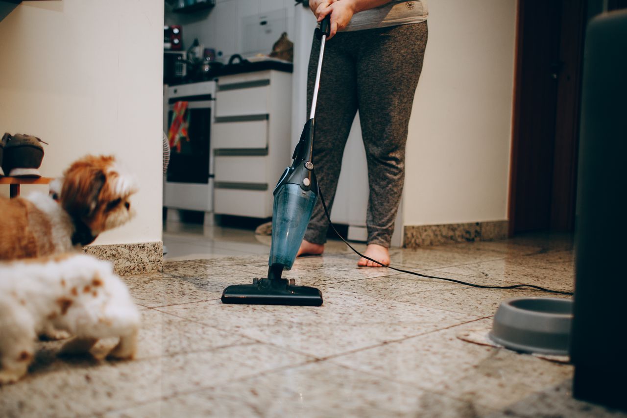 why-choose-us A woman cleaning the floor with a vacuum cleaner while a dog watches attentively. Indoor home setting.